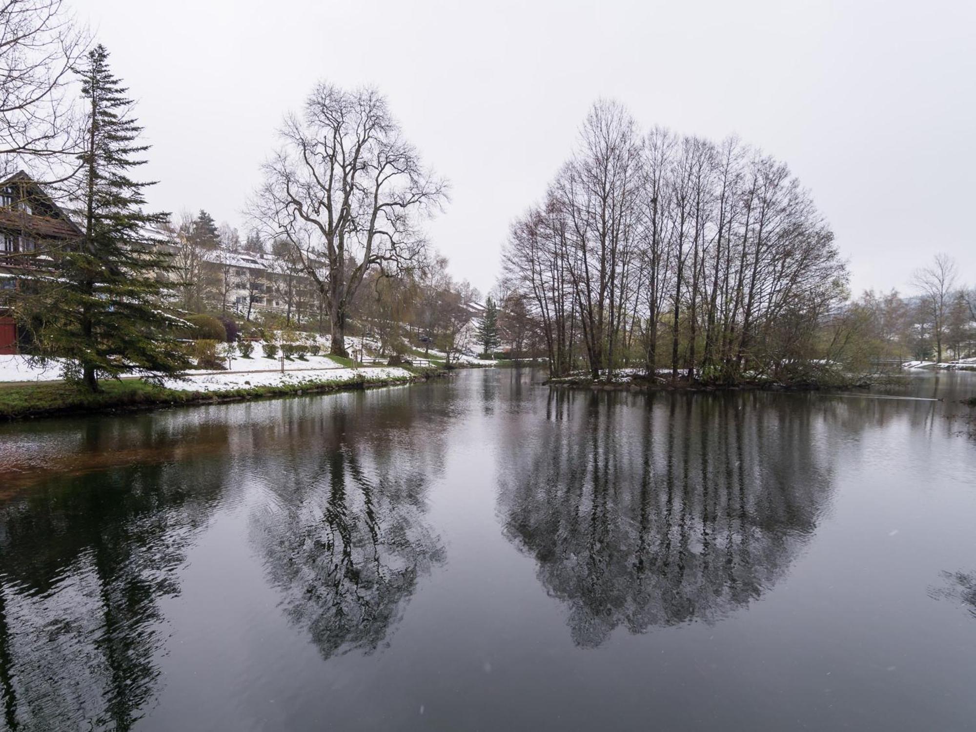 Ferienwohnungen Seeblick Unterkirnach Eksteriør bilde