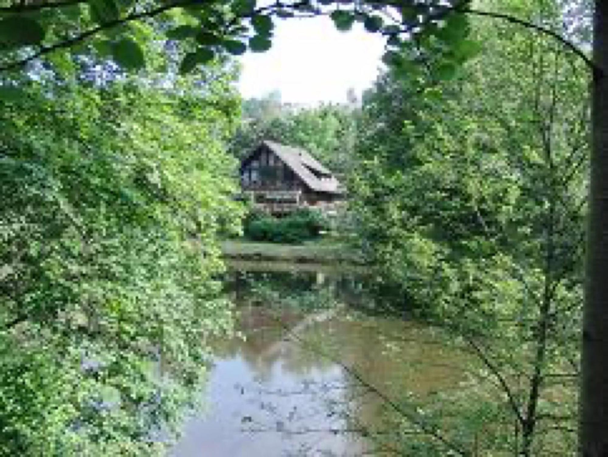 Ferienwohnungen Seeblick Unterkirnach Eksteriør bilde