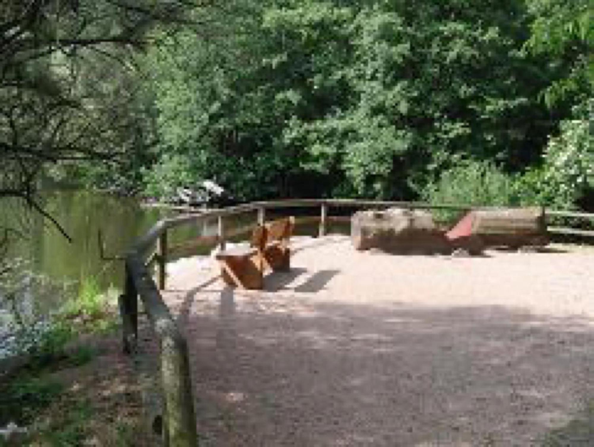 Ferienwohnungen Seeblick Unterkirnach Eksteriør bilde