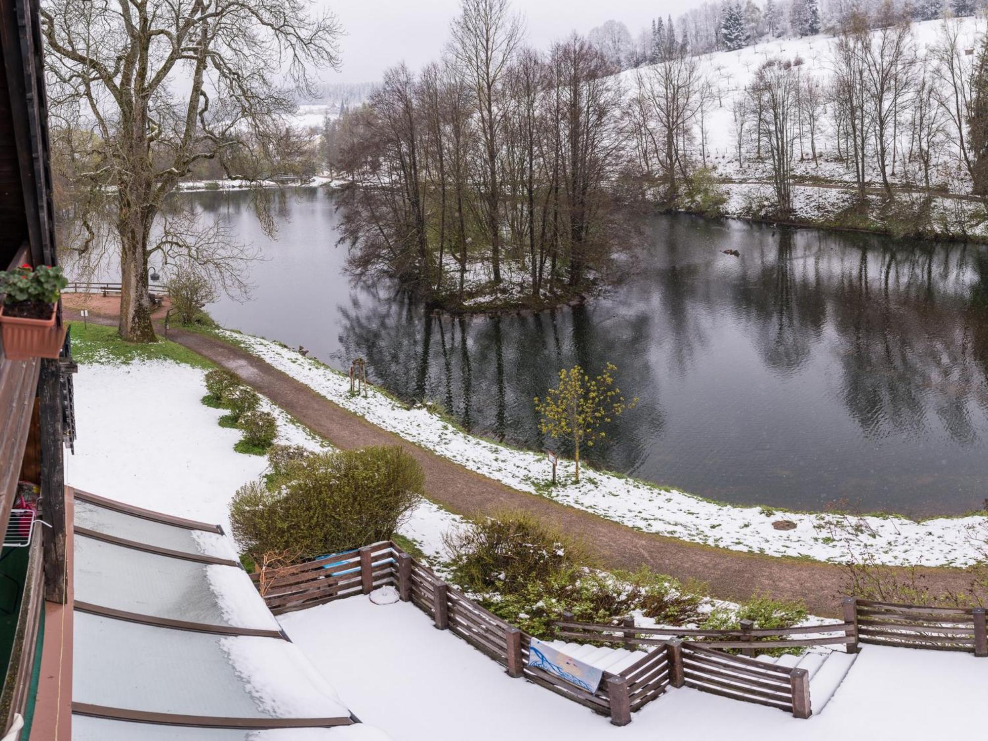 Ferienwohnungen Seeblick Unterkirnach Eksteriør bilde